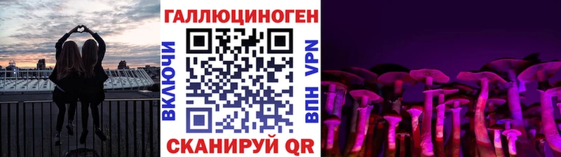 Купить где  Мелеуз  Псилоцибиновые грибы Psilocybine cubensis 